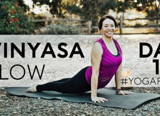 20 Minute Yoga Flow Vinyasa Hip Openers (Bird Of Paradise) Day 19 | Fightmaster Yoga Videos