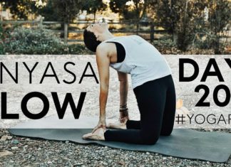 20 Minute Yoga Flow Vinyasa to Forearm Balance (Pincha Mayurasana) Day 20 | Fightmaster Yoga Videos