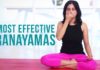 3 Most Effective Pranayamas – Deep Breathing Exercises