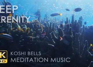 4K Deep Serenity – Koshi Bells – Underwater Sounds – Coral Reef Fish – Relaxation / Meditation Music