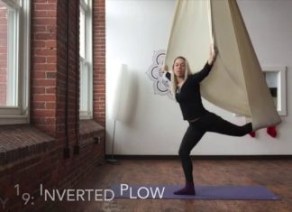 Aerial Yoga Pose Tutorial | Inverted Plow / Vampire