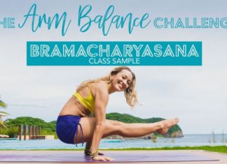 Arm Balance Yoga Challenge — Class 5, L-sit, Core Strength on Omstars Sample