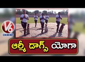 Army Dogs Perform Yoga Asanas In World Yoga Day Celebrations | V6 News