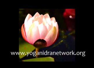 Baby Bond Yoga Nidra for Pregnancy- Total Yoga Nidra- Uma Dinsmore-Tuli