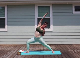 Beginner Vinyasa Yoga Class (C1)
