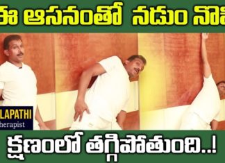 Best Yoga Asanas For Back Pain Relief You Can Do Any Where | Myra Jeevan