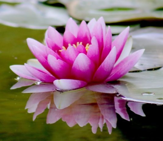 Guided Christian Meditation For Deep Sleep – 8 hrs