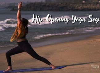Hip Stretches