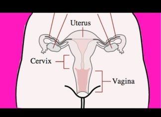 How does Periods occur in Women? – Hindi