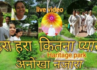 live video Haritage park ll yoga day special ll Bk Agartala