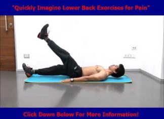 Lower Back Exercises For Pain | Exercise For Back Pain