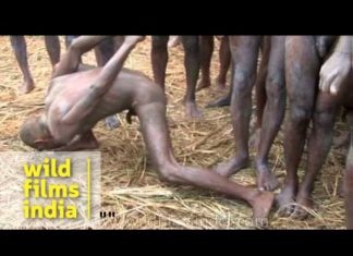 Naga sadhu demonstrates yoga during Ardh Kumbh Mela