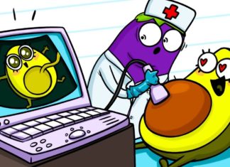 Pregnancy Prank – Compilation Cartoons