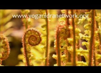 Pregnancy Yoga Nidra- sweet rotation around baby's body- Tessa Sanderson