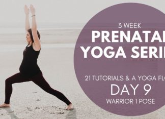 Prenatal Yoga Series Day 9 of 22 – Warrior 1 (yoga for pregnancy)