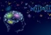 Reprogram Mind Before You Sleep Guided Meditation, Relax and Change Your Thinking Before Sleeping