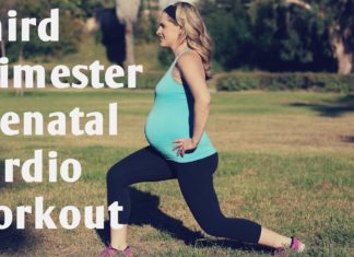 Third Trimester Prenatal Cardio Workout—But Good for ANY Trimester of Pregnancy!