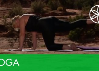 Yoga Conditioning For Weight Loss | Yoga | Gaiam