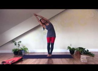 Yoga Principles: Strength, Foundation and Concentration