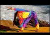 Yoga Shape Up: Back Rescue Workout- Wai Lana