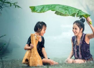 Relaxing Hang Drum Music with Rain Sounds, Calming, Beautiful, Soothing Relaxation, Yoga Music