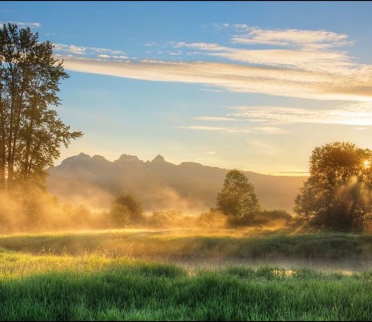 RELAXING MOZART #16 Music for Relaxation, Stress Relief, Classical Music for Sleeping